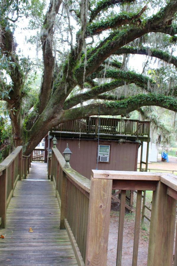 Berry Creek Cabins Bed & Breakfast Isabel Екстериор снимка